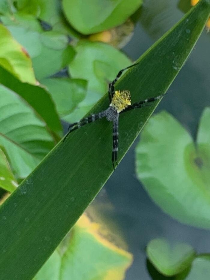 Images Real Estate Kailua Kona