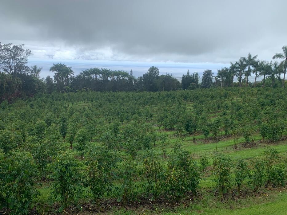 Images Real Estate Kailua Kona