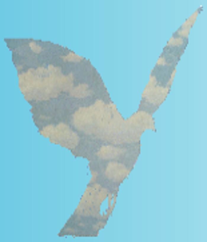 Mark OBRIEN MD PLC Logo
