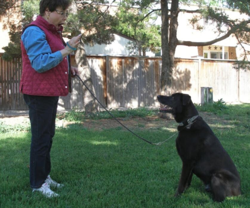 Images Capitol Area Dog Training and Behavior Consulting