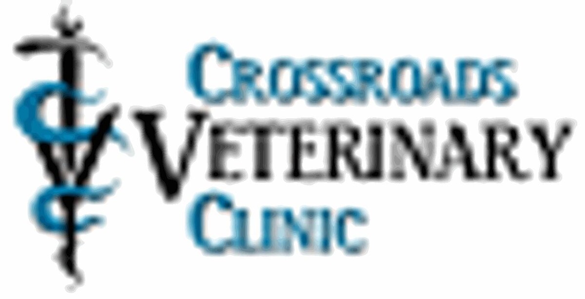 Images Victoria Veterinary Clinic