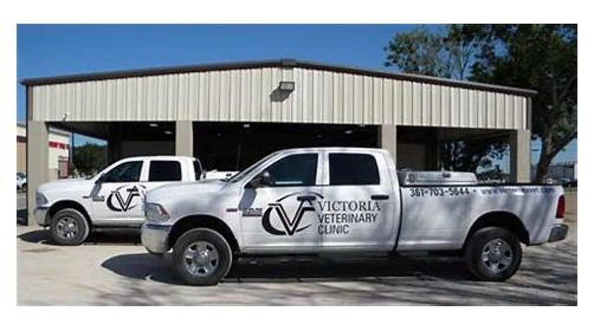 Images Victoria Veterinary Clinic