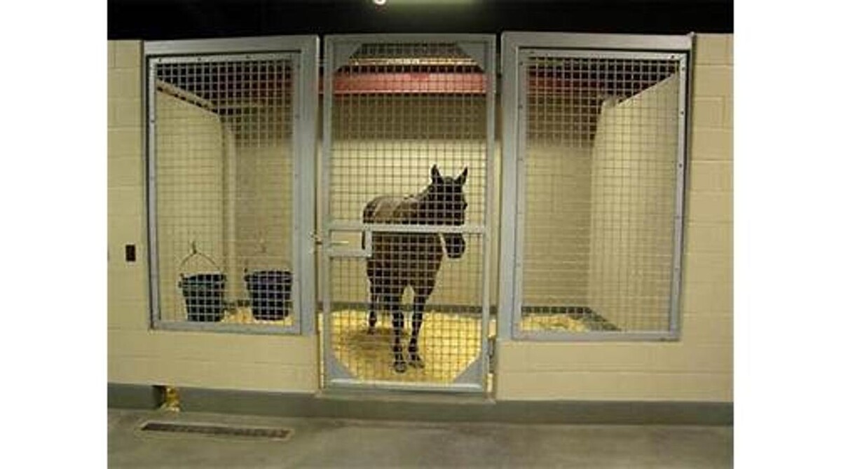 Images Victoria Veterinary Clinic