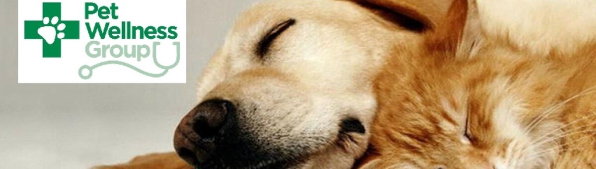 Images The Pet Wellness Group: Hebron