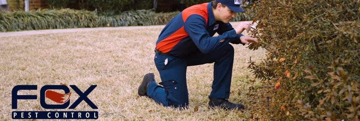 Images Fox Pest Control - Pharr