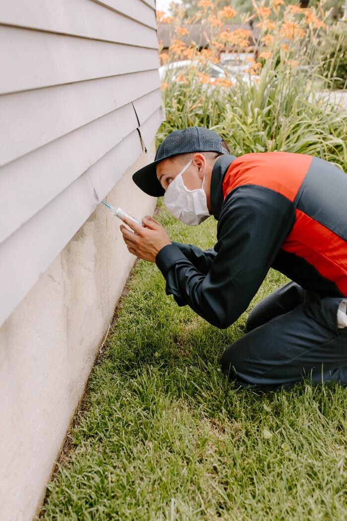 Images Fox Pest Control Oxford