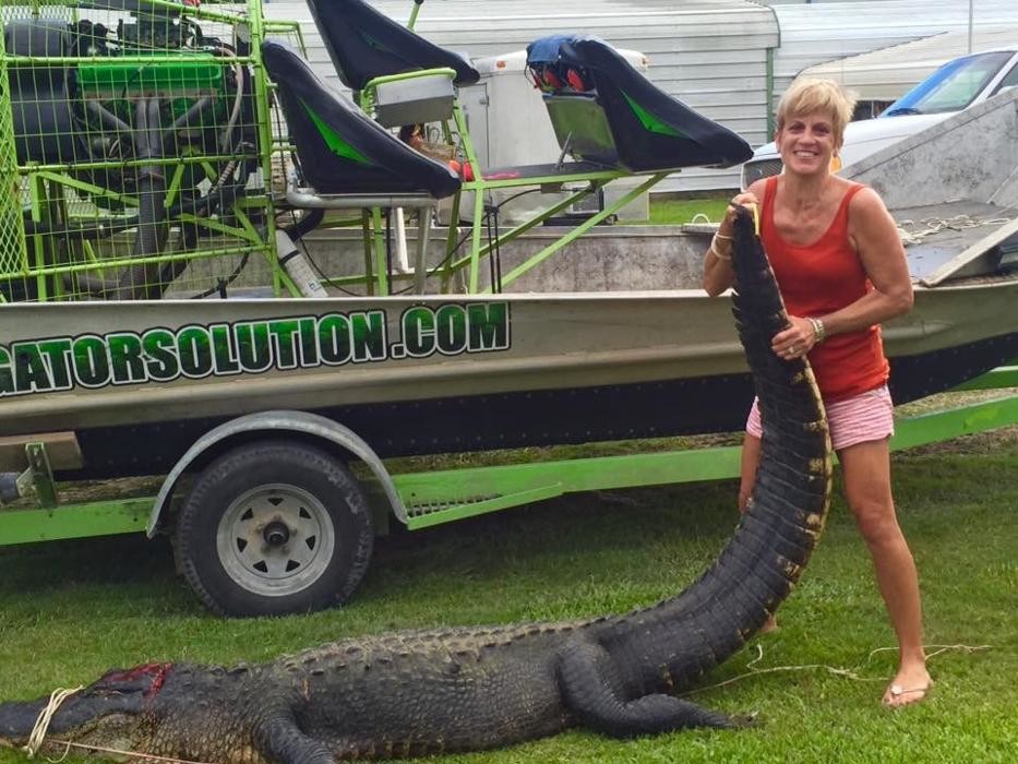 Images Alligator Solution Gator Hunts by Meyer Ranch Bootmakers