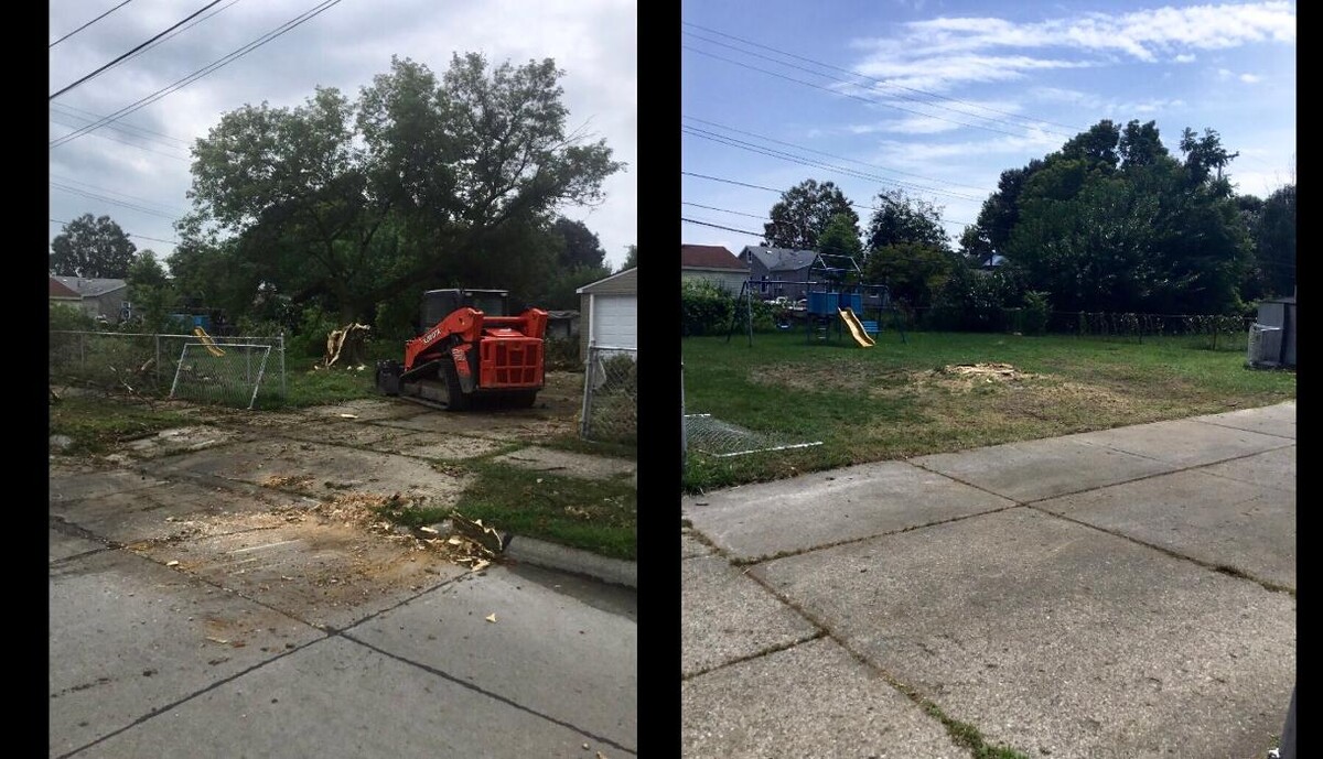 Images Tip Top Timber Co.