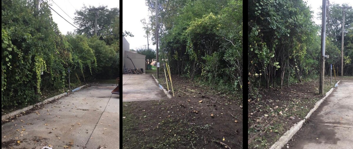 Images Tip Top Timber Co.