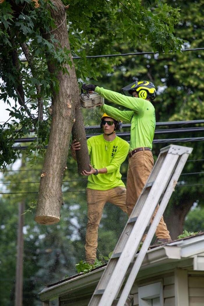 Images Tip Top Timber Co.