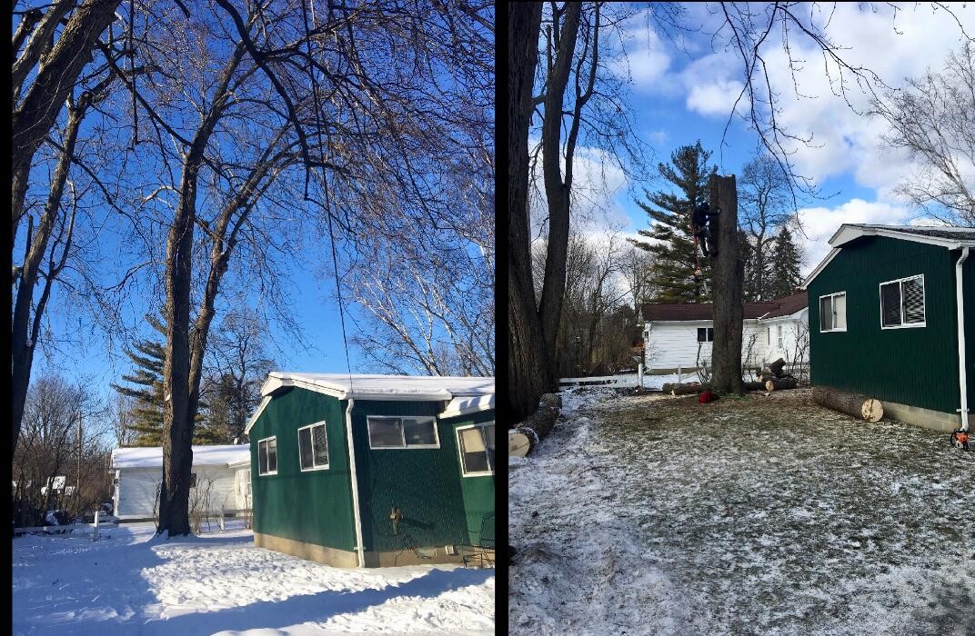 Images Tip Top Timber Co.