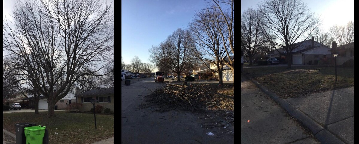 Images Tip Top Timber Co.