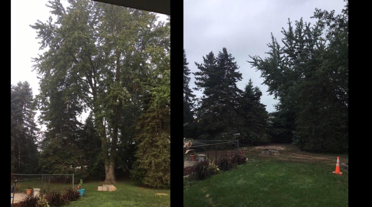 Images Tip Top Timber Co.