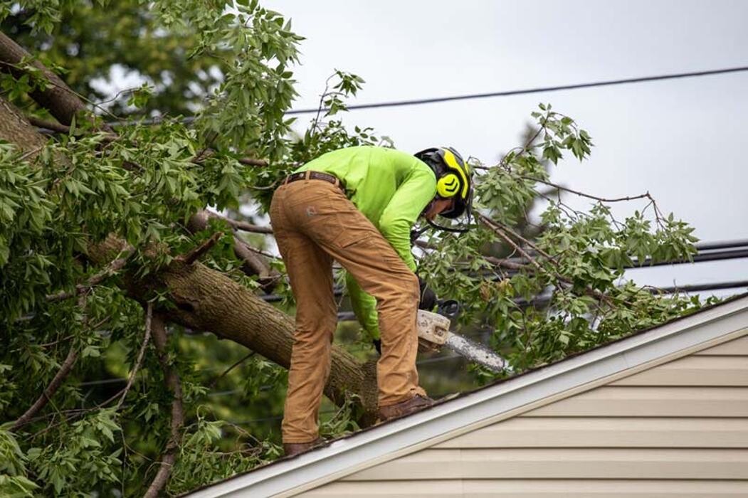 Images Tip Top Timber Co.