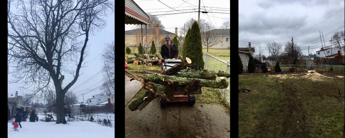 Images Tip Top Timber Co.