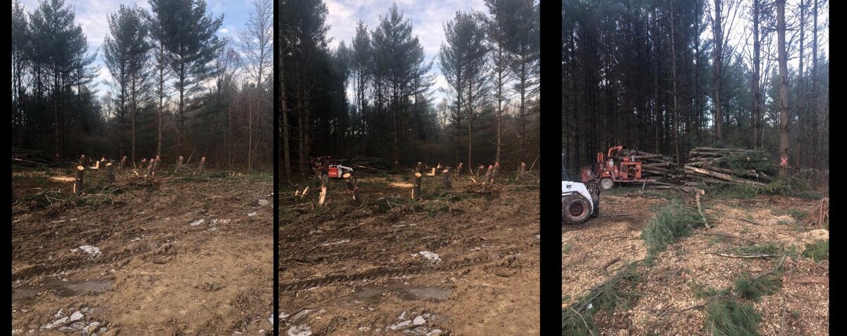 Images Tip Top Timber Co.