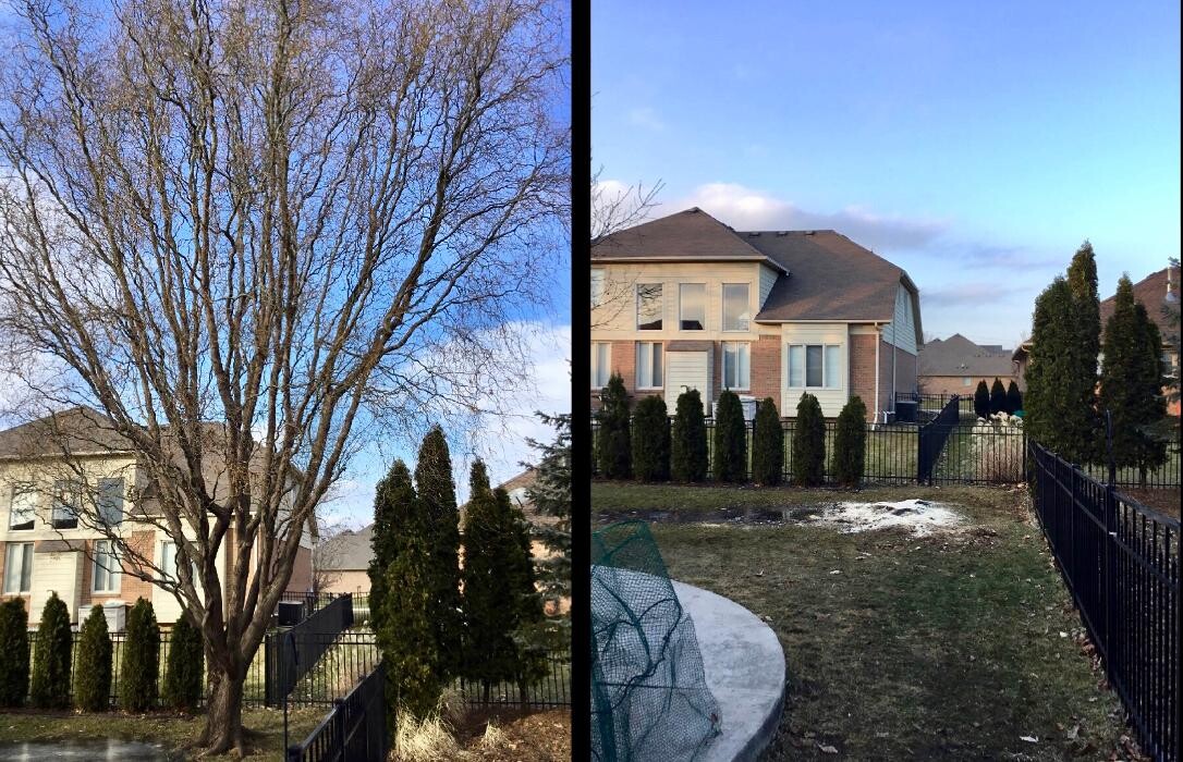 Images Tip Top Timber Co.