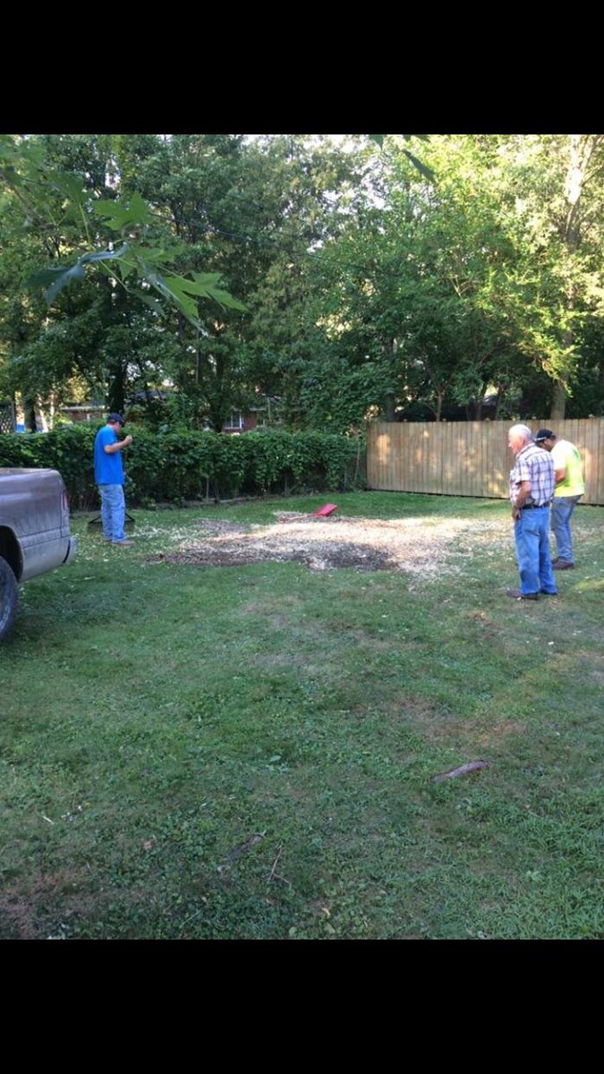 Images Tip Top Timber Co.