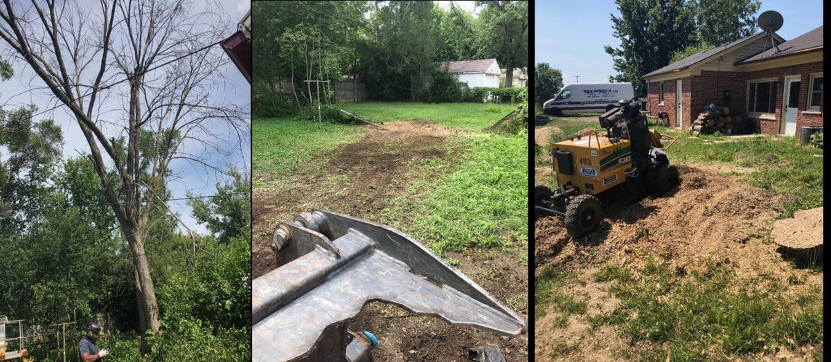 Images Tip Top Timber Co.