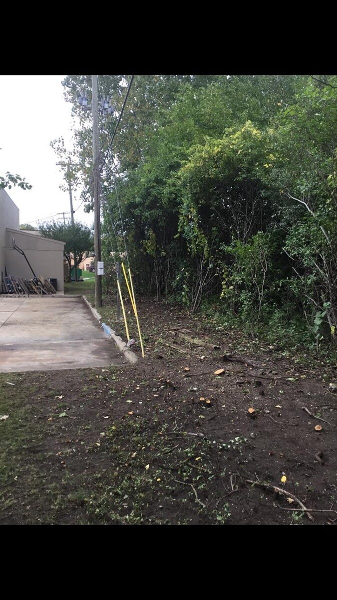 Images Tip Top Timber Co.