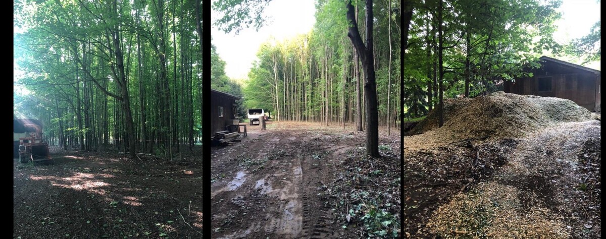 Images Tip Top Timber Co.