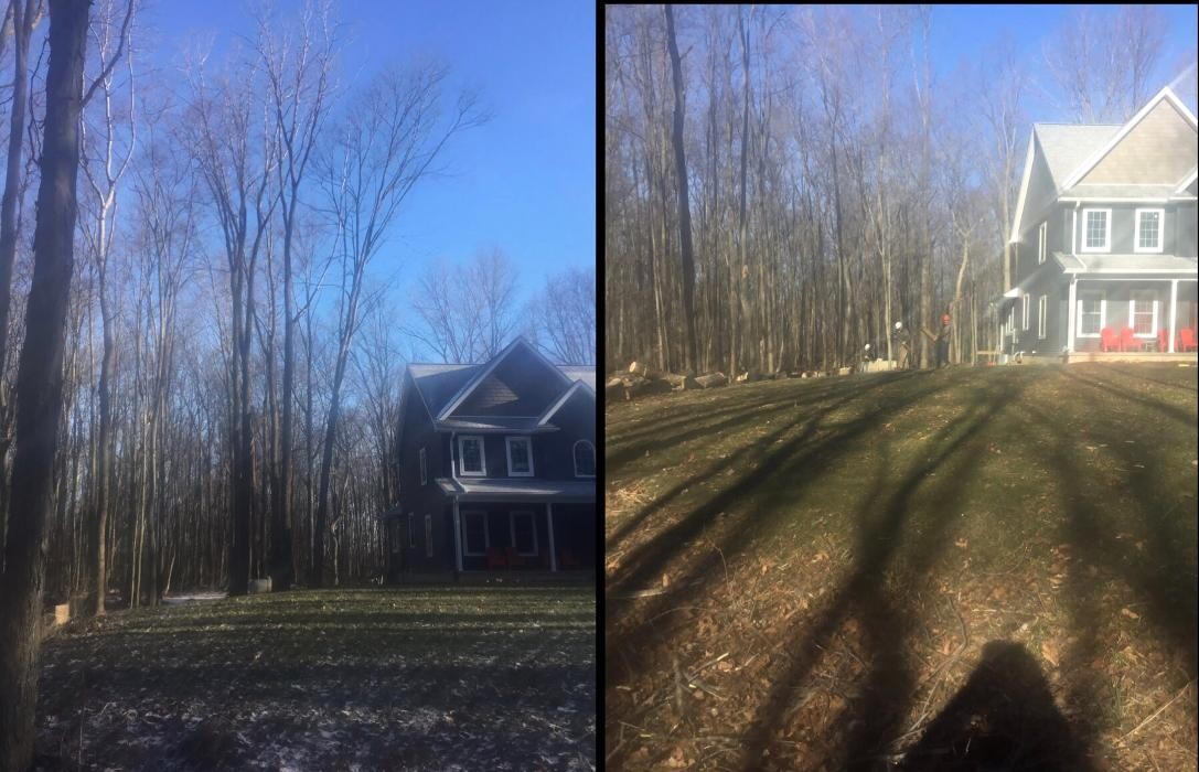 Images Tip Top Timber Co.