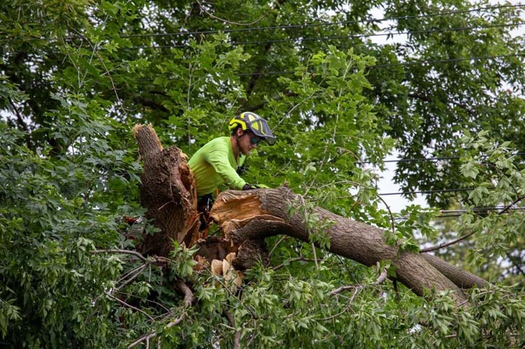 Images Tip Top Timber Co.