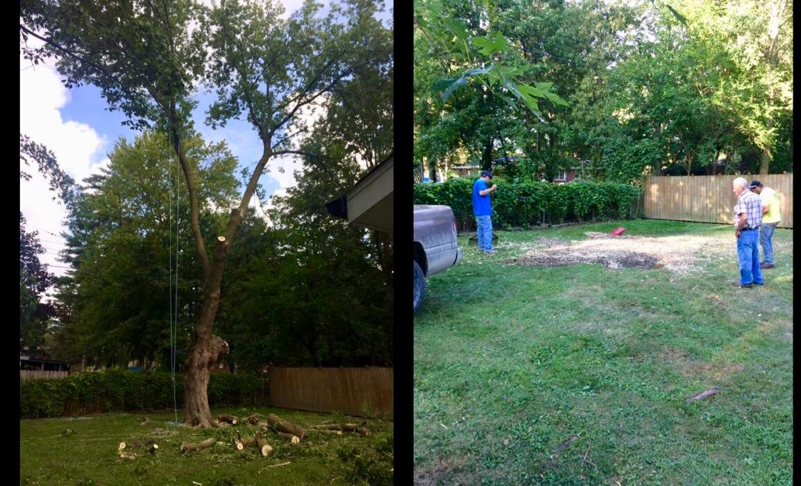 Images Tip Top Timber Co.