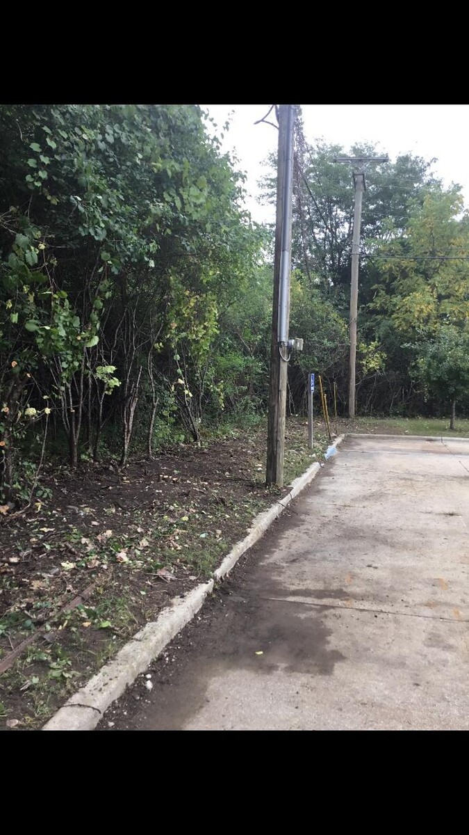 Images Tip Top Timber Co.