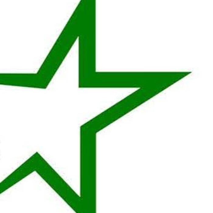 Salinas Lawn & Power Logo