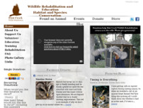 Screenshot for http://www.flintcreekwildlife.org