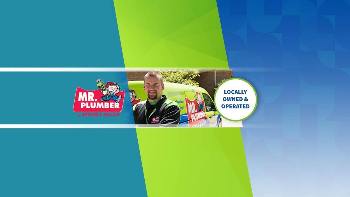 Images Mr. Plumber by Metzler & Hallam