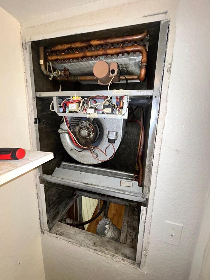 Images Guaranteed Property and Mold Inspection