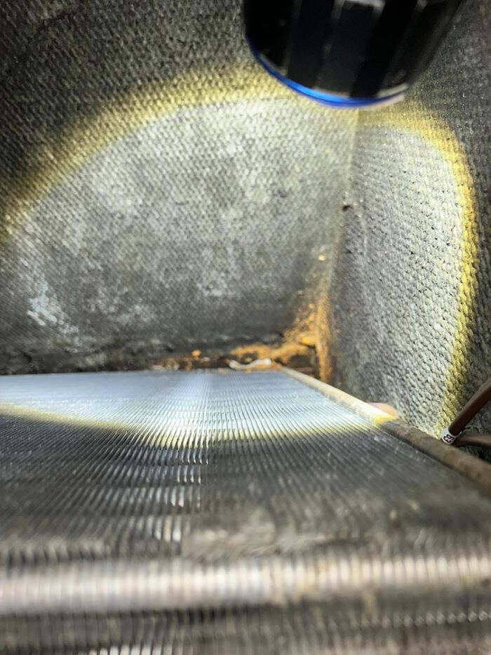 Images Guaranteed Property and Mold Inspection