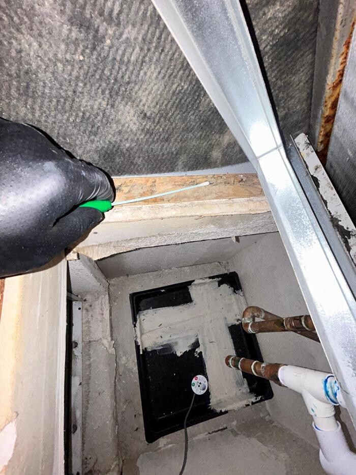 Images Guaranteed Property and Mold Inspection