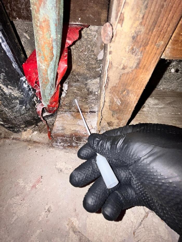 Images Guaranteed Property and Mold Inspection