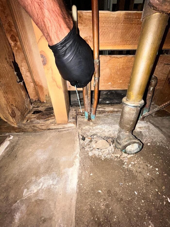 Images Guaranteed Property and Mold Inspection