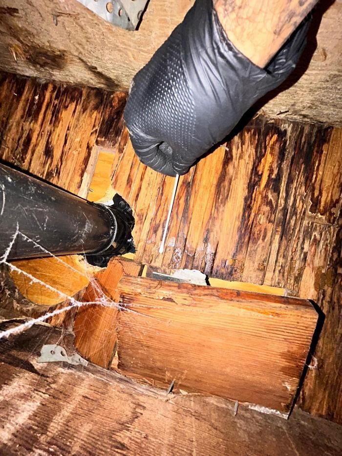Images Guaranteed Property and Mold Inspection