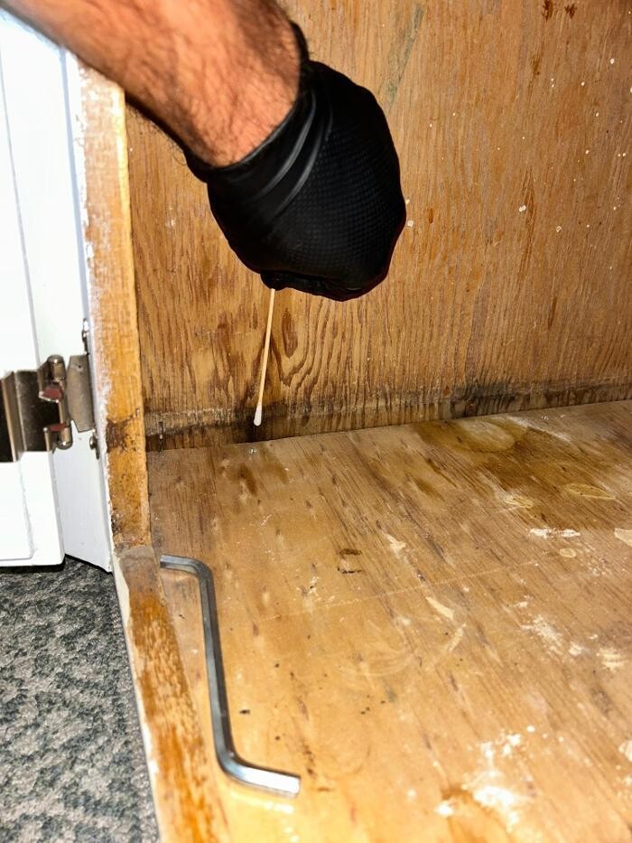 Images Guaranteed Property and Mold Inspection