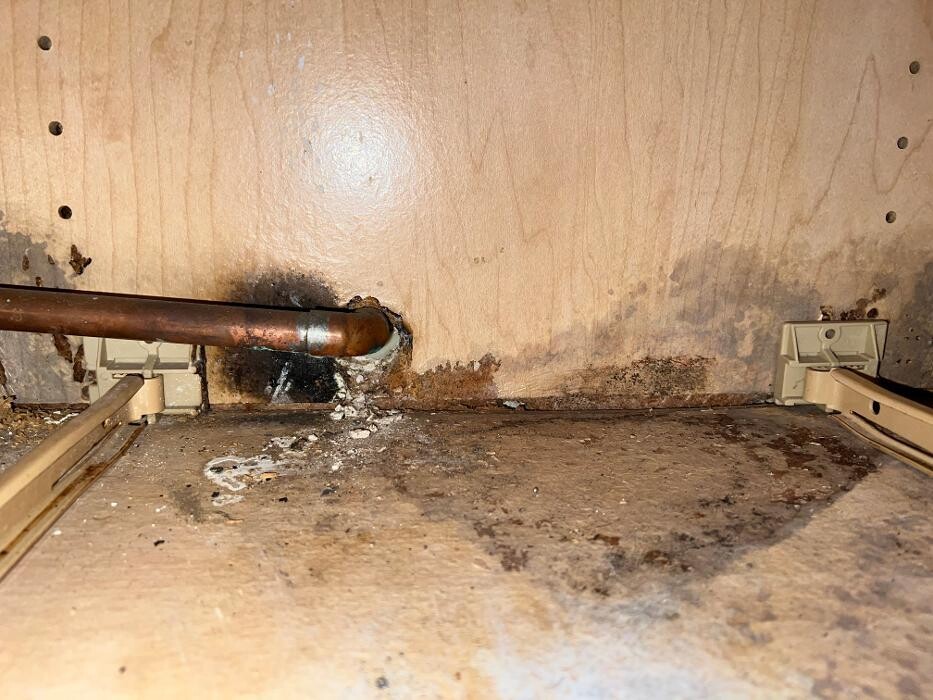 Images Guaranteed Property and Mold Inspection