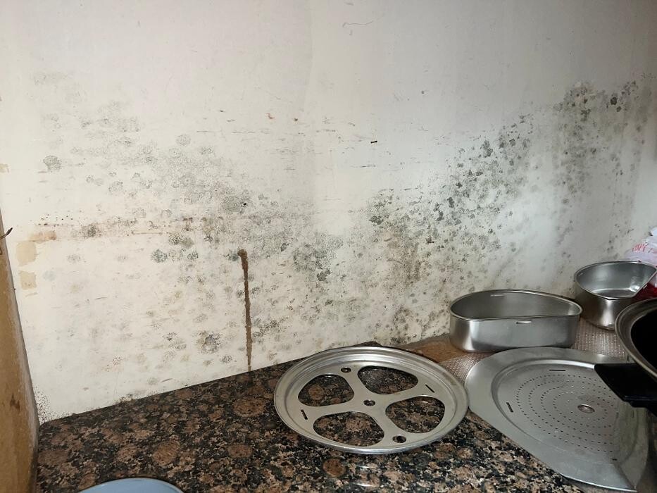 Images Guaranteed Property and Mold Inspection