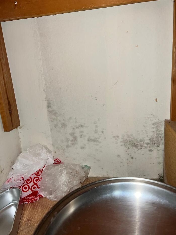 Images Guaranteed Property and Mold Inspection