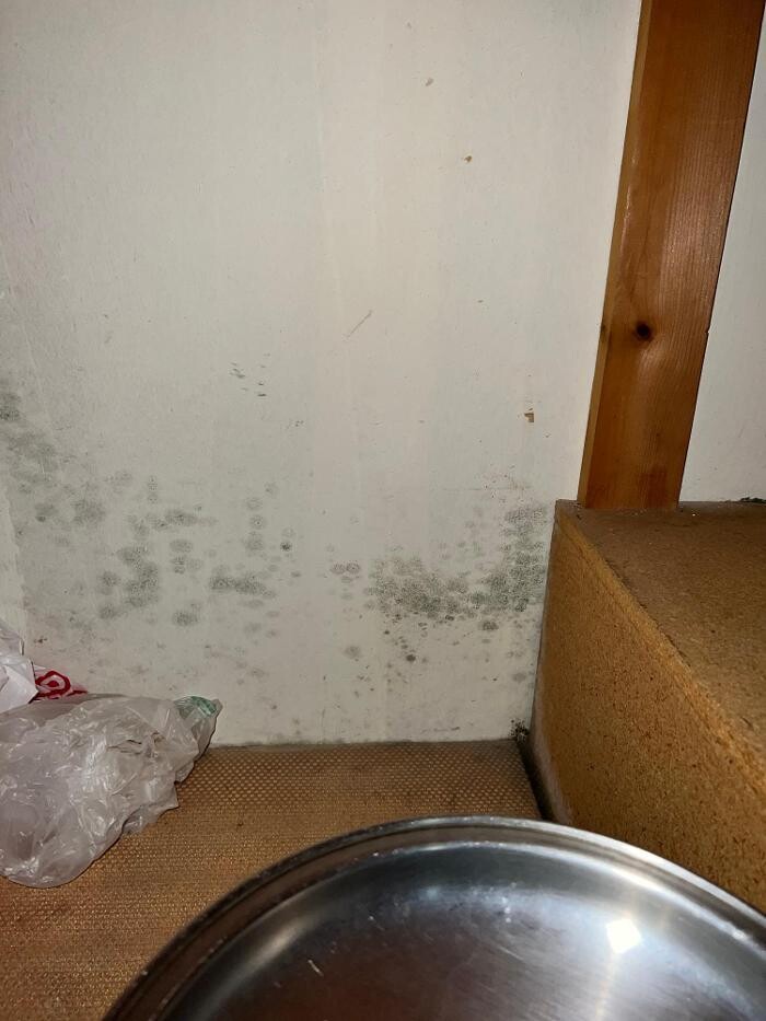 Images Guaranteed Property and Mold Inspection