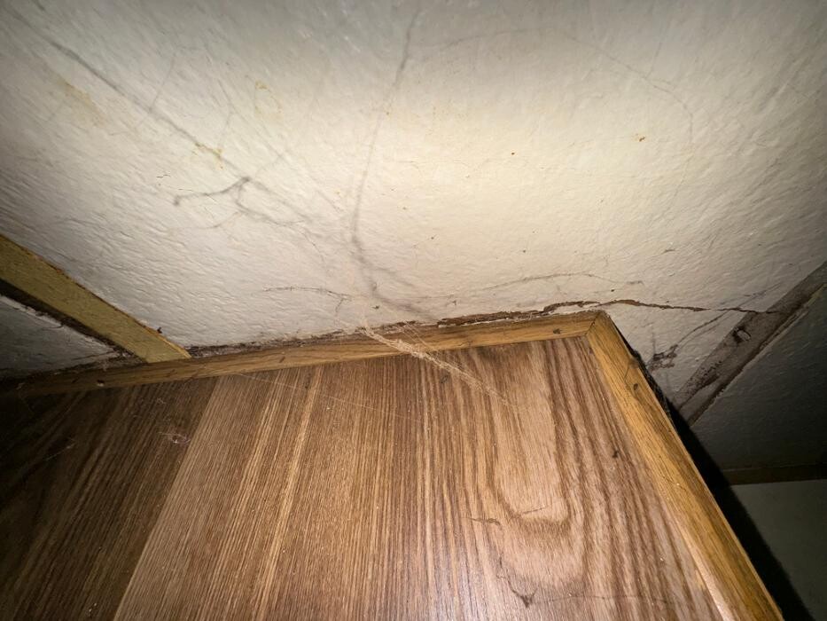 Images Guaranteed Property and Mold Inspection
