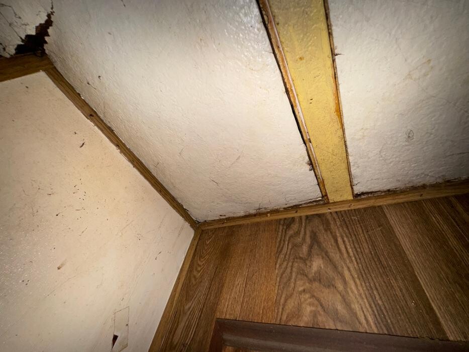 Images Guaranteed Property and Mold Inspection