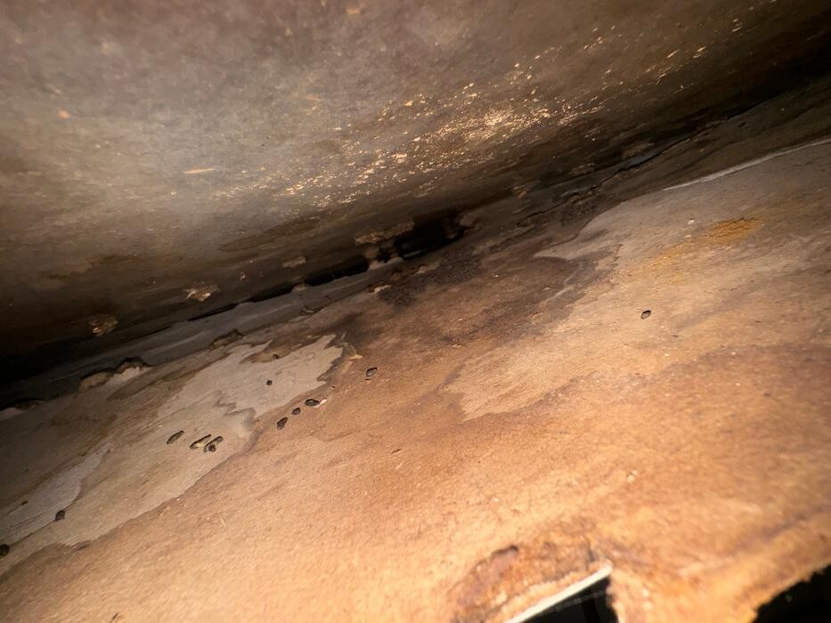Images Guaranteed Property and Mold Inspection