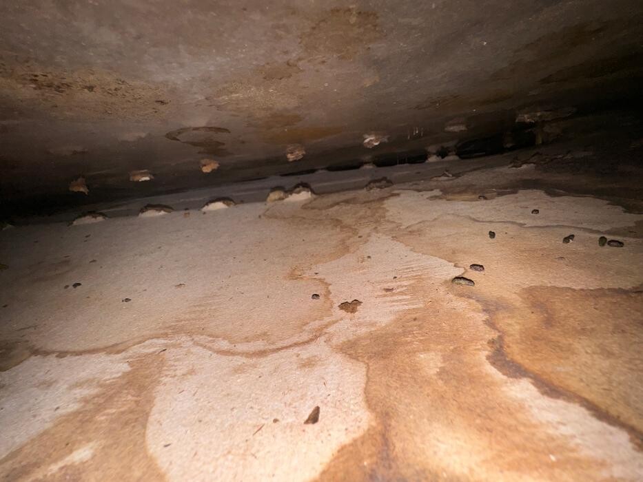 Images Guaranteed Property and Mold Inspection