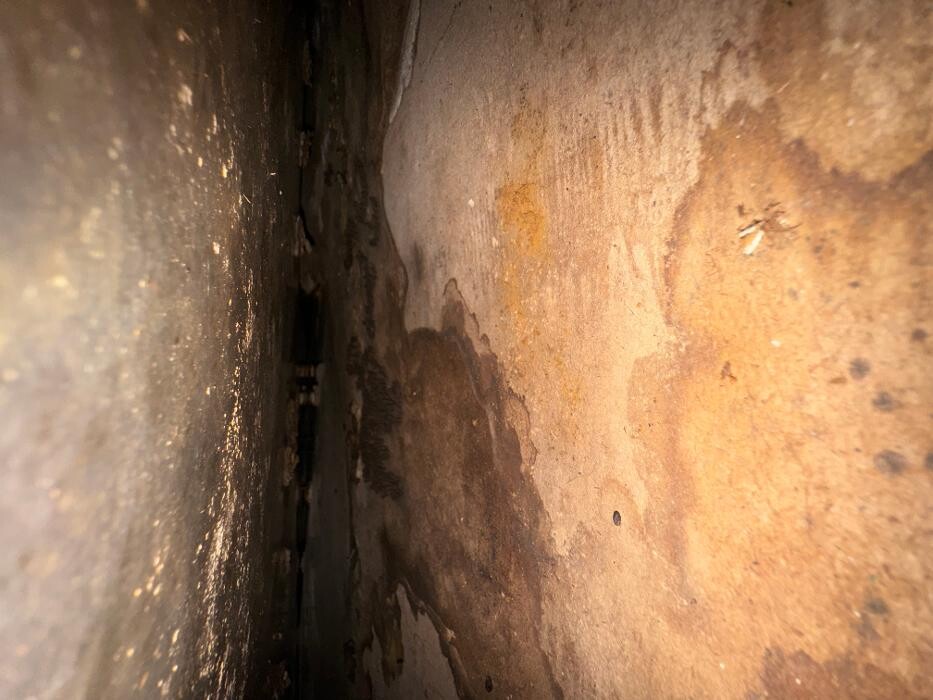 Images Guaranteed Property and Mold Inspection