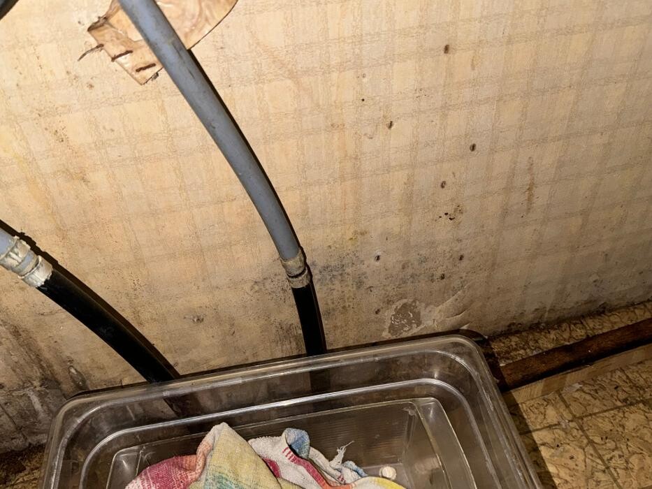 Images Guaranteed Property and Mold Inspection