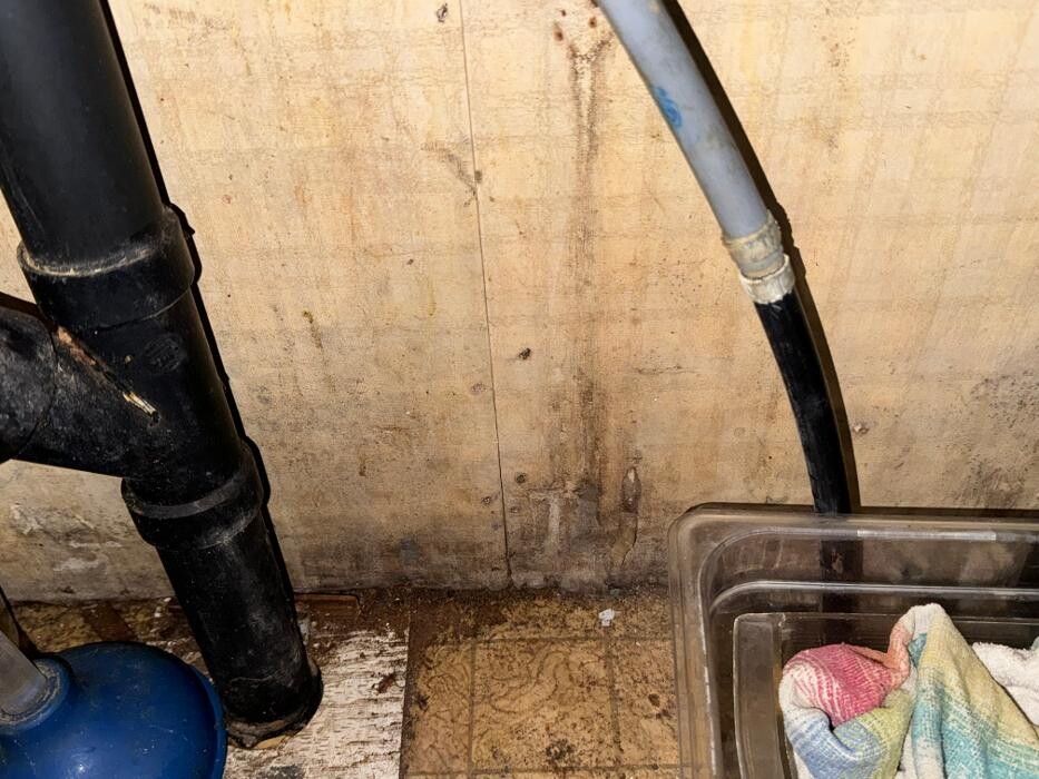 Images Guaranteed Property and Mold Inspection